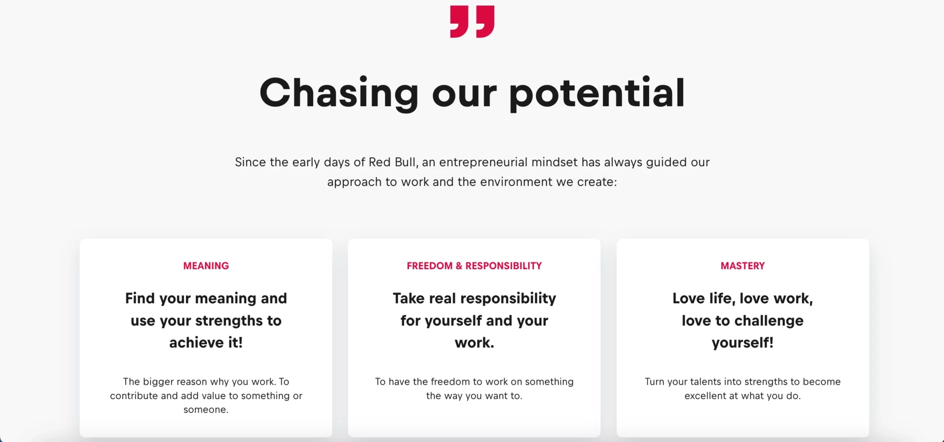 Acquiring potential customers via the company's culture definition (Red Bull recruitment landing page)