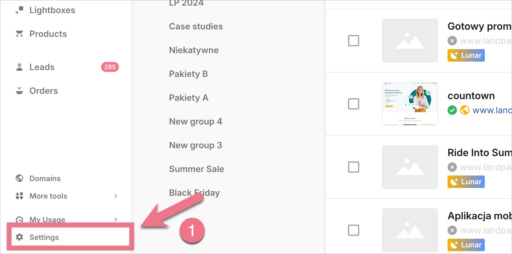 Settings tab in Landingi platform