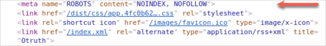 noindex tag - one of the most common indexing issues
