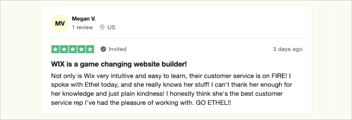 wix customer's review