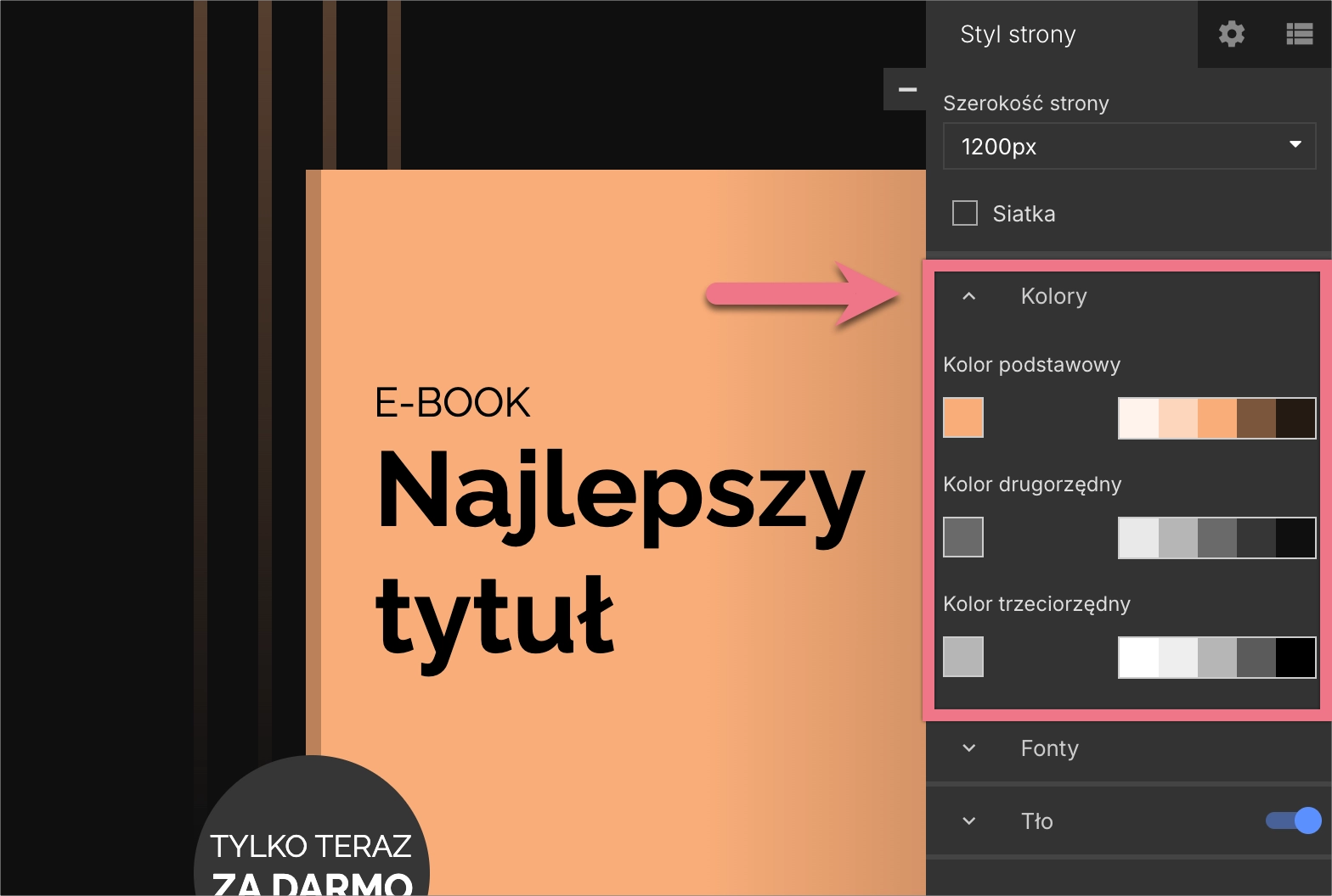 Zakładka globalnych kolorów landing page'a