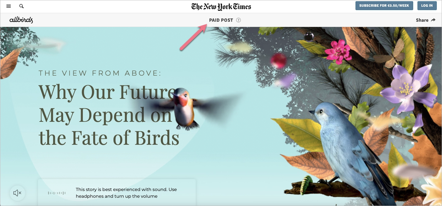 Exemple de publicité native d'Allbirds sur le site web du New York Times promouvant le développement durable à travers la narration.