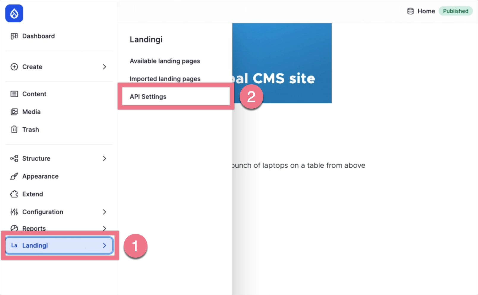 Landingi API settings in Drupal