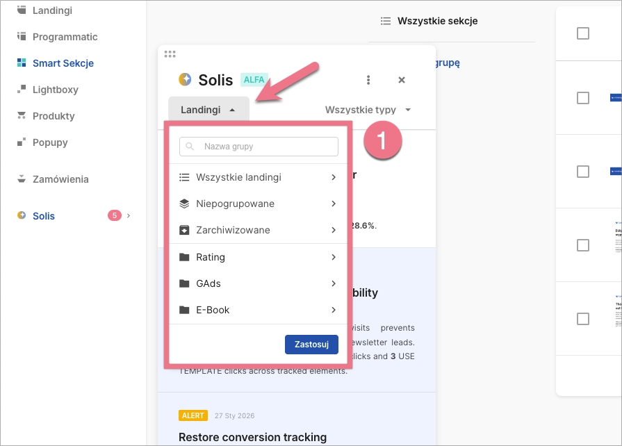 Panel Solis umożliwiający wyb&oacute;r wszystkich landing page'y lub określonej grupy landing page'y.