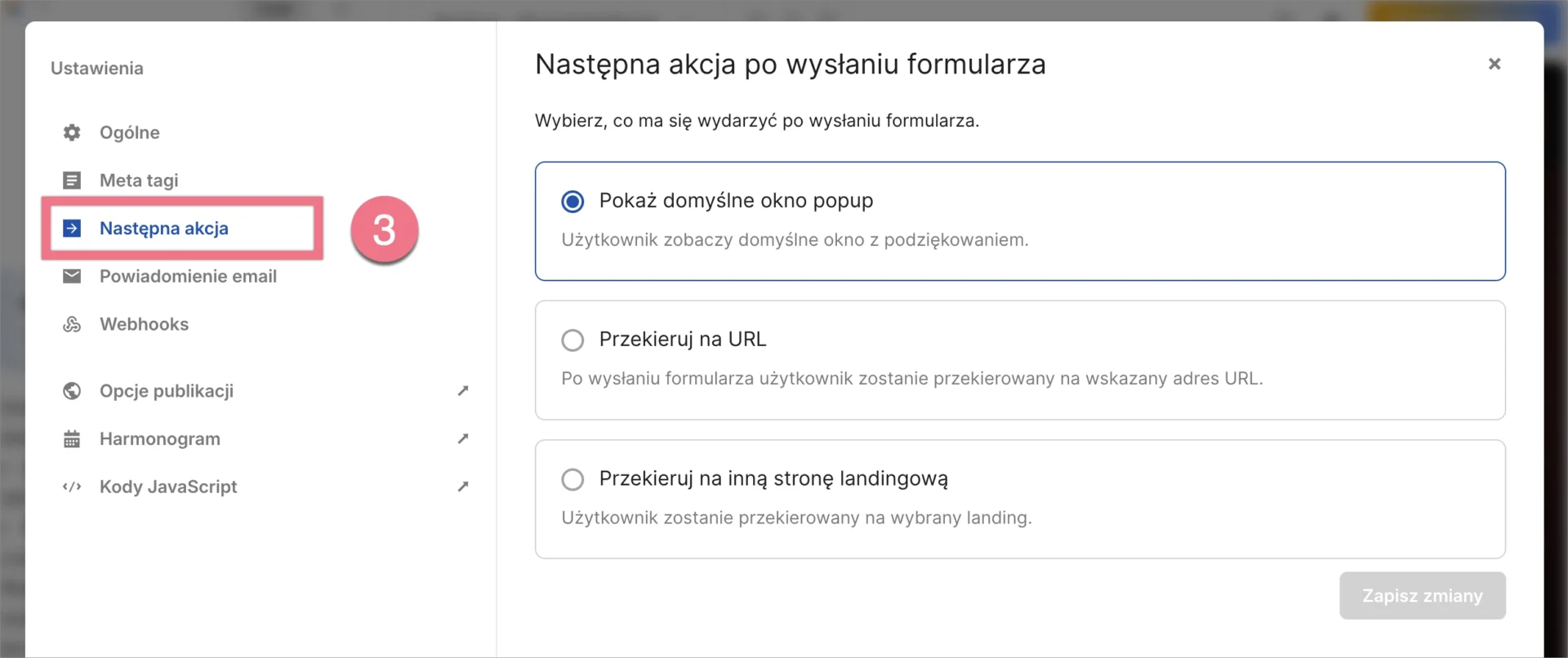 Ustawienia kolejnych działań po przesłaniu formularza na landing page'u AI.
