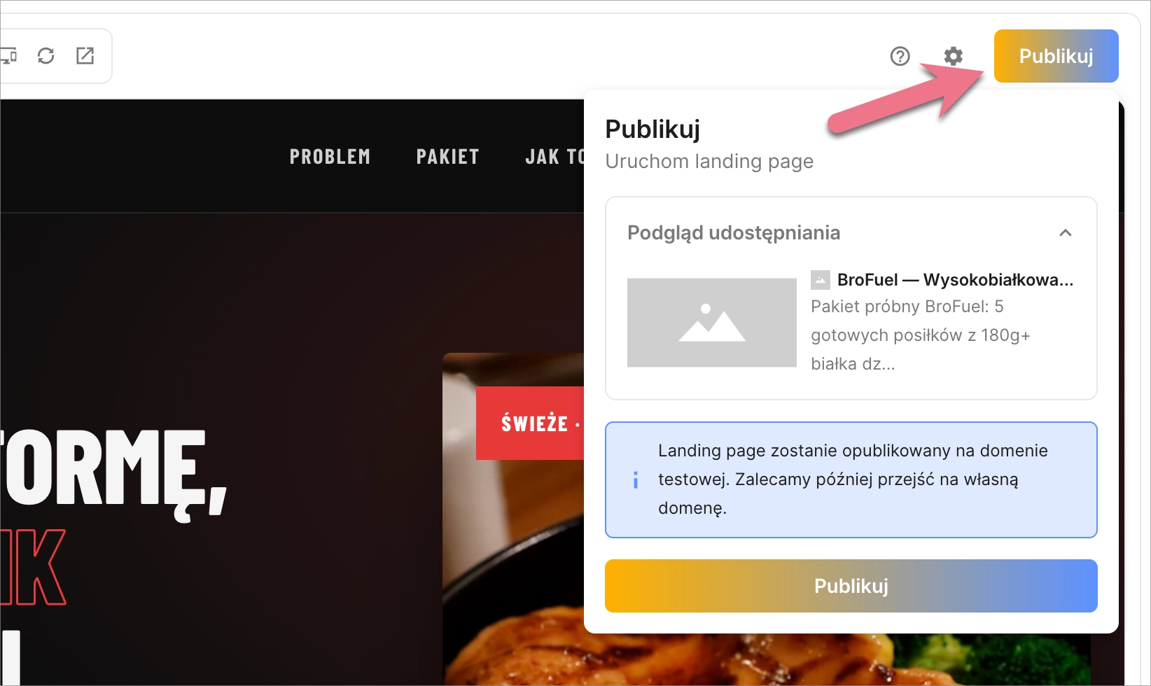 Opublikowanie landing page'a AI w domenie testowej.